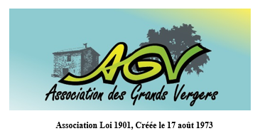 Agv logo 2